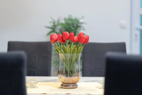 Vila s bazénem Ostrov Vir - Vir OS 5504 N1