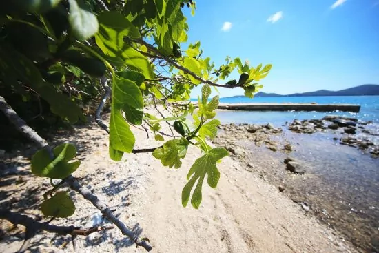 Biograd oblázková pláž před domem.
