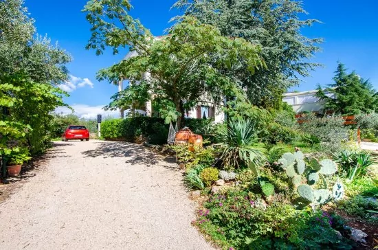 Apartmán Ostrov Krk - Krk OS 8413 N1