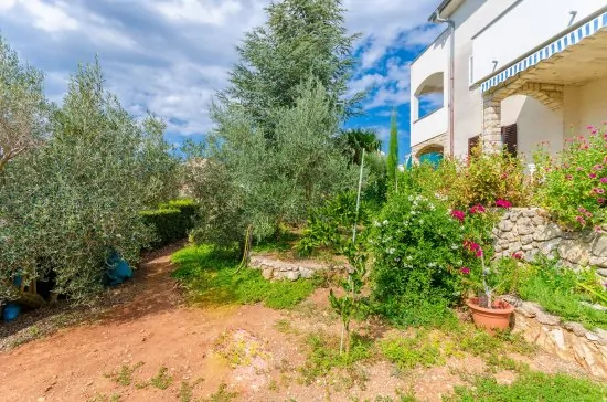 Apartmán Ostrov Krk - Krk OS 8413 N2