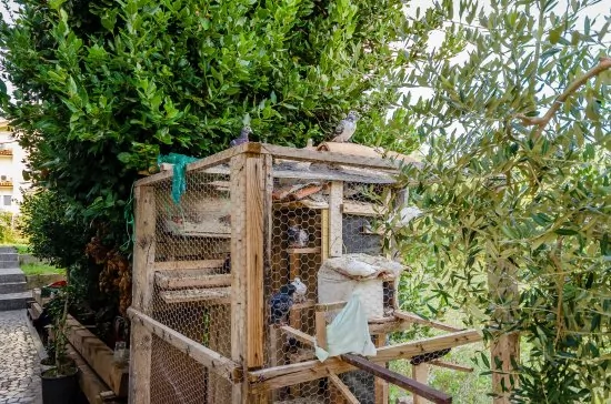 Apartmán Ostrov Rab - Lopar OS 7906 N1