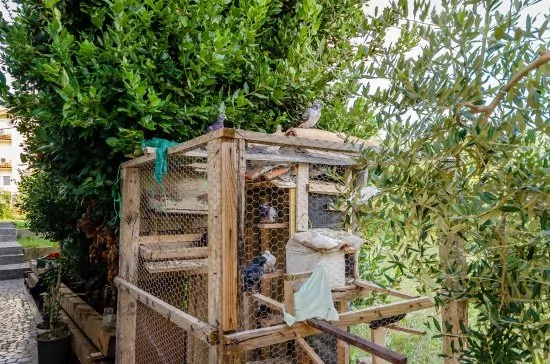 Apartmán Ostrov Rab - Lopar OS 7906 N2