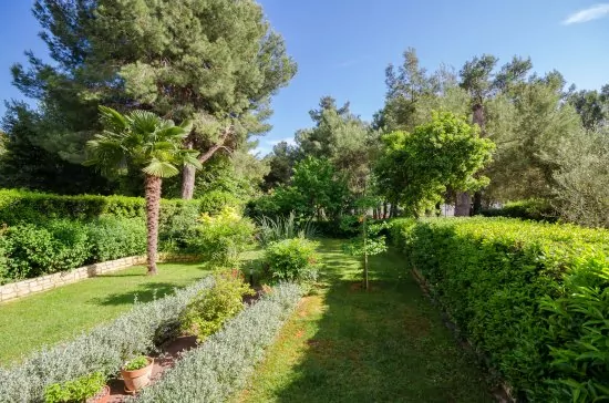 Apartmán Istrie - Rovinj IS 3010 N1