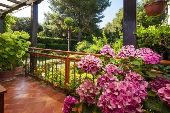 Apartmán Istrie - Rovinj IS 3010 N1