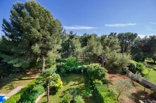 Apartmán Istrie - Rovinj IS 3010 N2