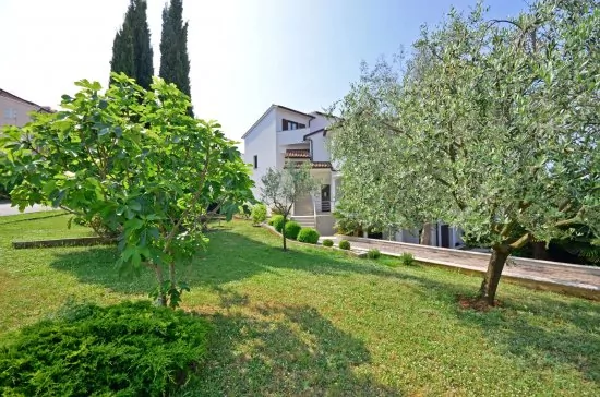 Apartmán Istrie - Vrsar IS 3102 N2