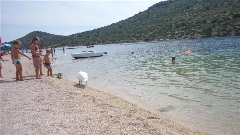 Oblázková pláž přímo před domem.