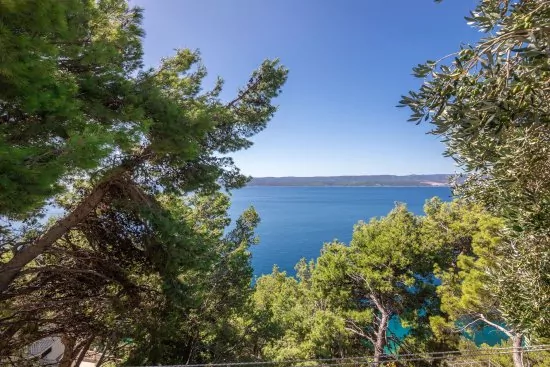 Výhled od domu na moře.