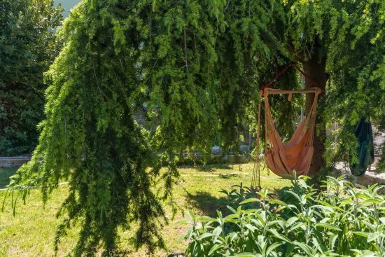 Apartmán Severní Dalmácie - Biograd na Moru DA 4724 N1