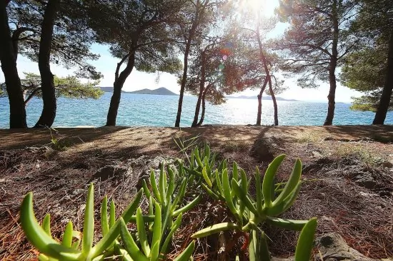 Moře a pláž přímo pod domem.