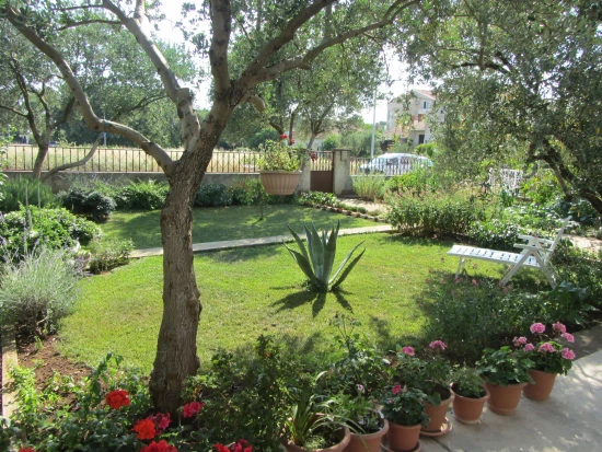 Apartmán Severní Dalmácie - Biograd na Moru DA 4726 N1