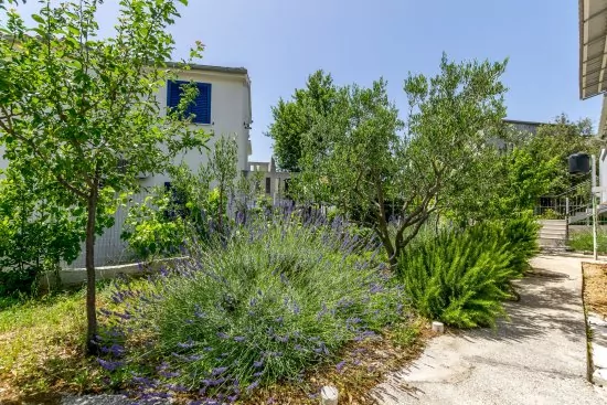 Apartmán Severní Dalmácie - Rogoznica DA 3569 N1