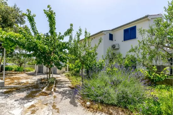 Apartmán Severní Dalmácie - Rogoznica DA 3569 N1