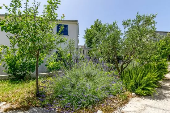 Apartmán Severní Dalmácie - Rogoznica DA 3569 N4