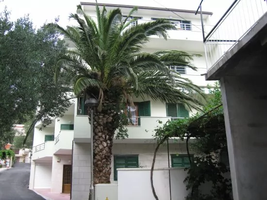 Apartmán Střední Dalmácie - Tučepi DA 1906 N5