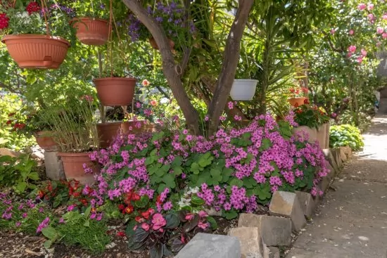 Apartmán Střední Dalmácie - Trogir DA 3225 N1