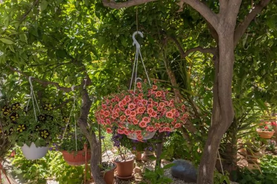 Apartmán Střední Dalmácie - Trogir DA 3225 N1