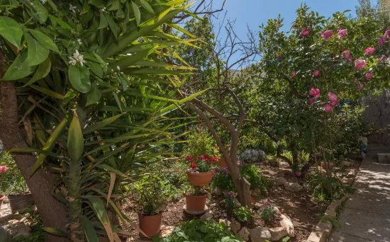 Apartmán Střední Dalmácie - Trogir DA 3225 N1