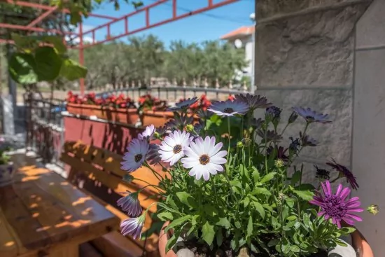 Apartmán Střední Dalmácie - Trogir DA 3225 N1