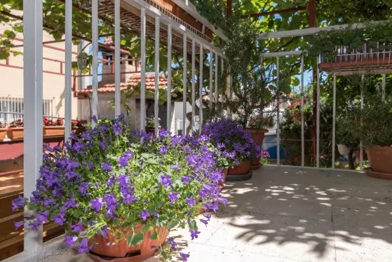 Apartmán Střední Dalmácie - Trogir DA 3225 N2