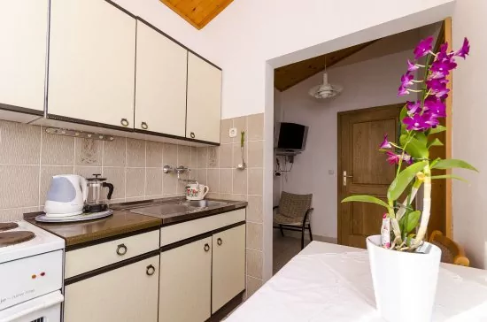 Apartmán Severní Dalmácie - Ražanj DA 3573 N2