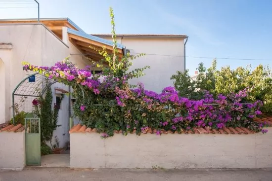 Apartmán Severní Dalmácie - Vodice DA 4166 N1