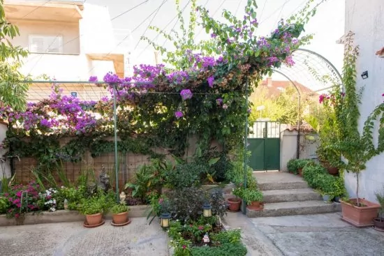 Apartmán Severní Dalmácie - Vodice DA 4166 N1