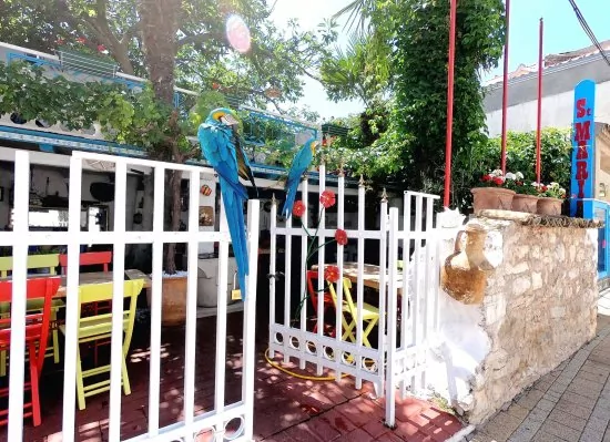 Apartmán Severní Dalmácie - Vodice DA 4169 N1