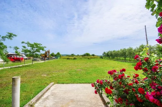 Apartmán Istrie - Banjole IS 1807 N2