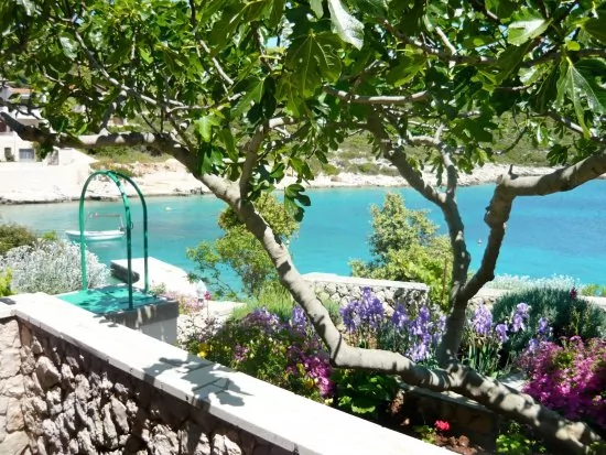 Apartmán Severní Dalmácie - Kanica DA 3579 N1