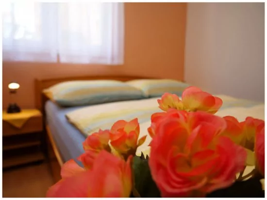 Apartmán Severní Dalmácie - Primošten DA 3636 N1