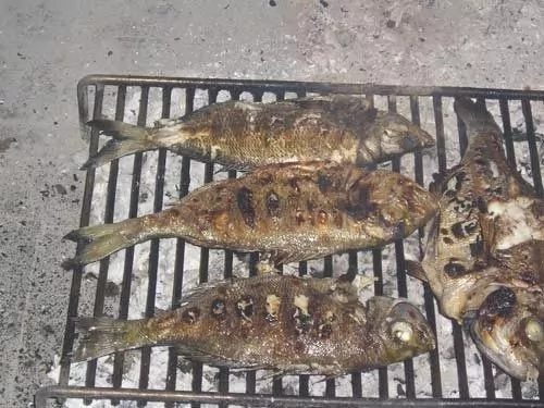 Apartmán Střední Dalmácie - Seget Vranjica DA 3438 N3