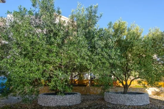 Apartmán Střední Dalmácie - Okrug Gornji DA 3324 N4