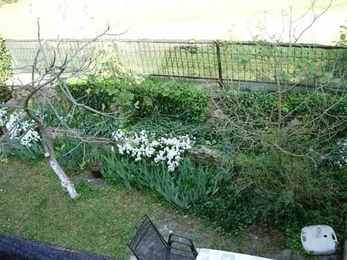 Apartmán Istrie - Rovinj IS 3013 N3