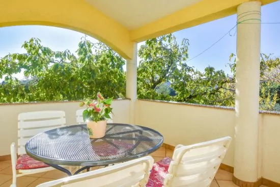 Apartmán Severní Dalmácie - Biograd na Moru DA 4728 N2