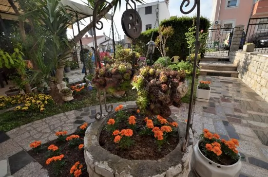 Apartmán Istrie - Pula IS 2008 N1