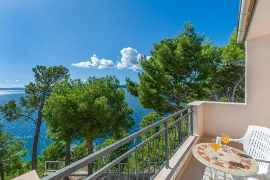 Apartmán Střední Dalmácie - Brela DA 2208 N1