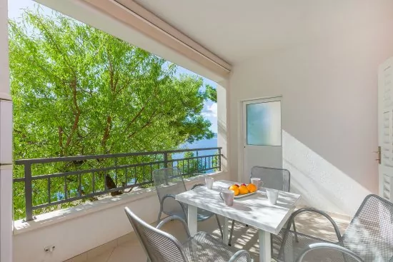 Apartmán Střední Dalmácie - Brela DA 2208 N3