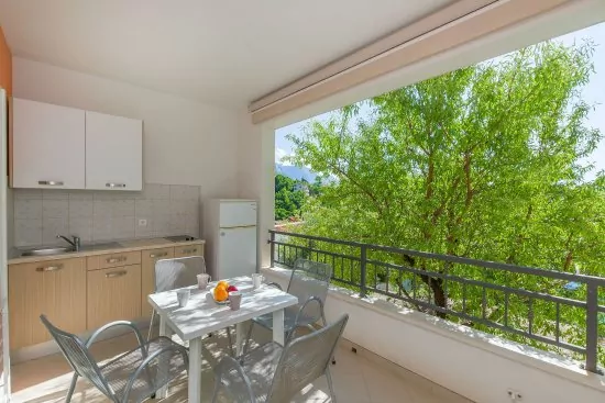 Apartmán Střední Dalmácie - Brela DA 2208 N3