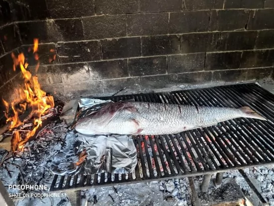 Apartmán Severní Dalmácie - Žaboric DA 3804 N1