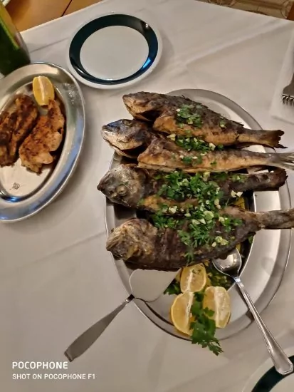 Apartmánový pokoj Severní Dalmácie - Žaboric DA 3804 N3