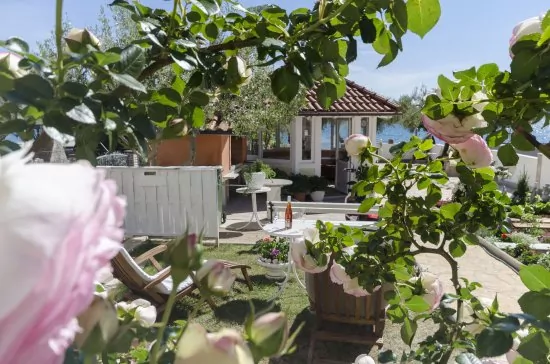 Apartmán Severní Dalmácie - Vodice DA 4173 N3