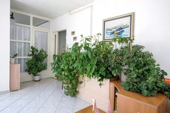 Apartmán Severní Dalmácie - Vodice DA 4174 N1