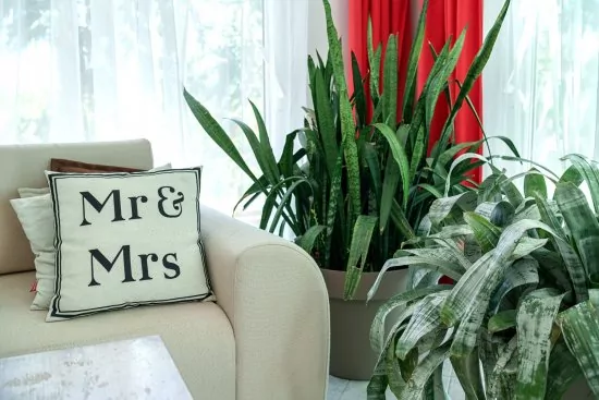 Apartmán Severní Dalmácie - Vodice DA 4174 N2