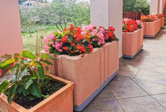 Apartmán Ostrov Rab - Lopar OS 7907 N1