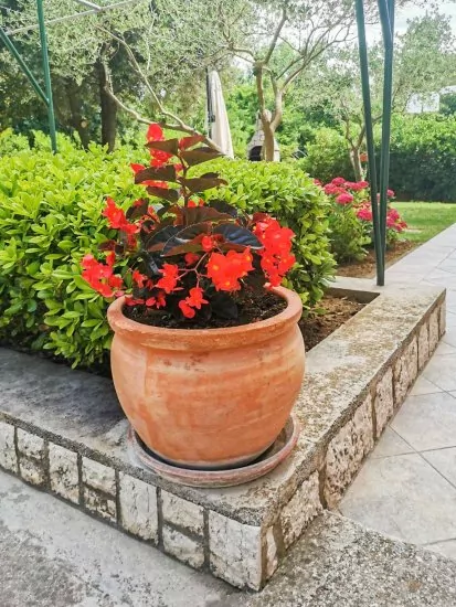 Apartmán Ostrov Rab - Lopar OS 7907 N1