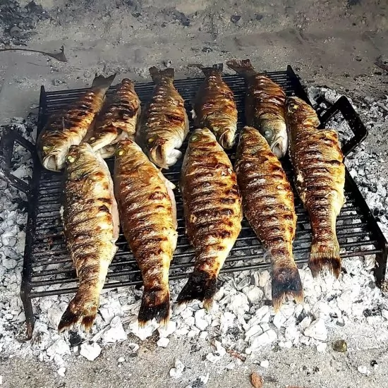 Apartmán Severní Dalmácie - Jadrtovac DA 3823 N1