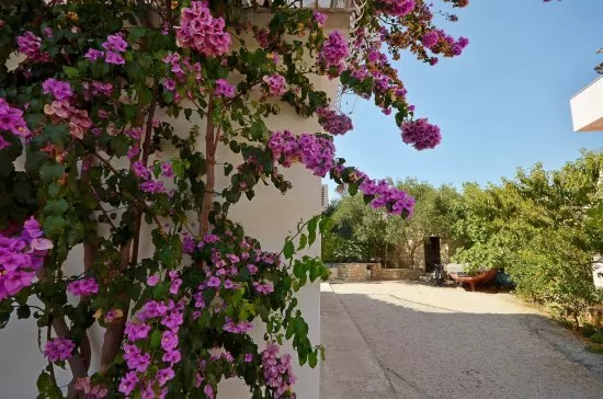 Apartmán Severní Dalmácie - Srima (Vodice) DA 4176 N2