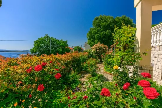 Apartmán Kvarner - Crikvenica KV 2157 N3