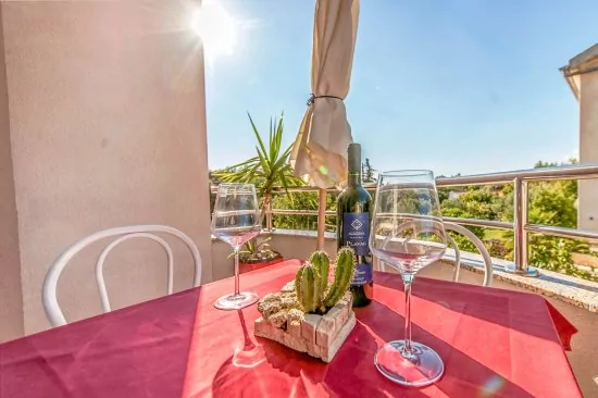 Apartmán Severní Dalmácie - Biograd na Moru DA 4730 N3